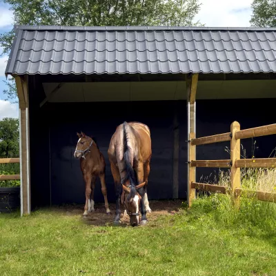 Een dubbele houten paardenschuilstal met zwarte dakpannen verbonden met houten omheiningen met 3 rails op een veld met twee paarden