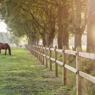Paarden op een veld met houten omheiningen met twee rails en planken die door de vierkante palen glijden