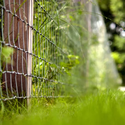 Een close-up van een draadgaasomheining met vierkante robinia palen