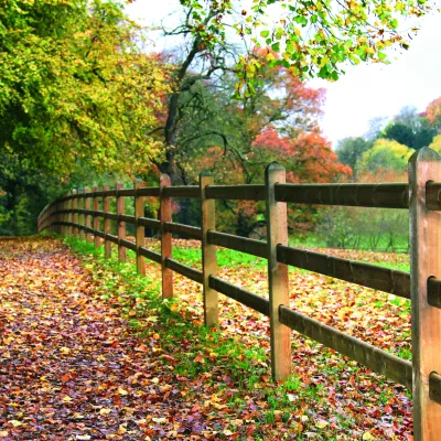 Houten omheiningen met vierkante palen en drie rails